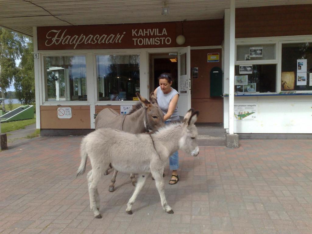 Hotel Haapasaaren Lomakyla Ruovesi Exteriér fotografie